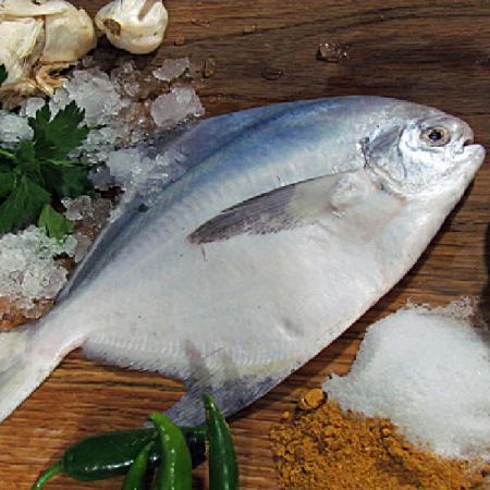 السمك حلوی للبيع|أطیب و أنسب سعر سمكة في ايران