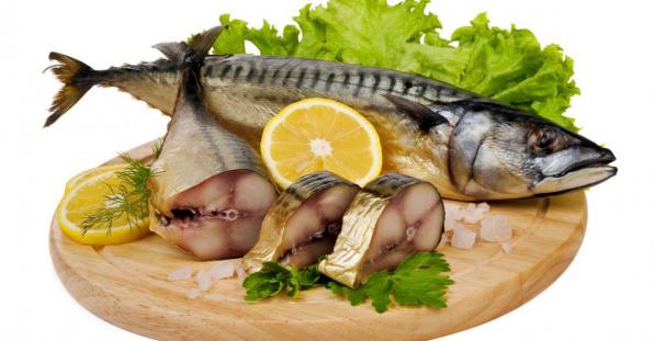 استيراد وتصدير أنواع السمك من الموانئ في ايران 