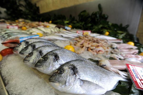 تصدير أفضل أنواع السمك الى الدول العربية 